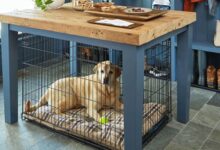 Dog Kennels